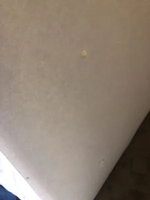 The Moving Man INC