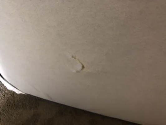 The Moving Man INC